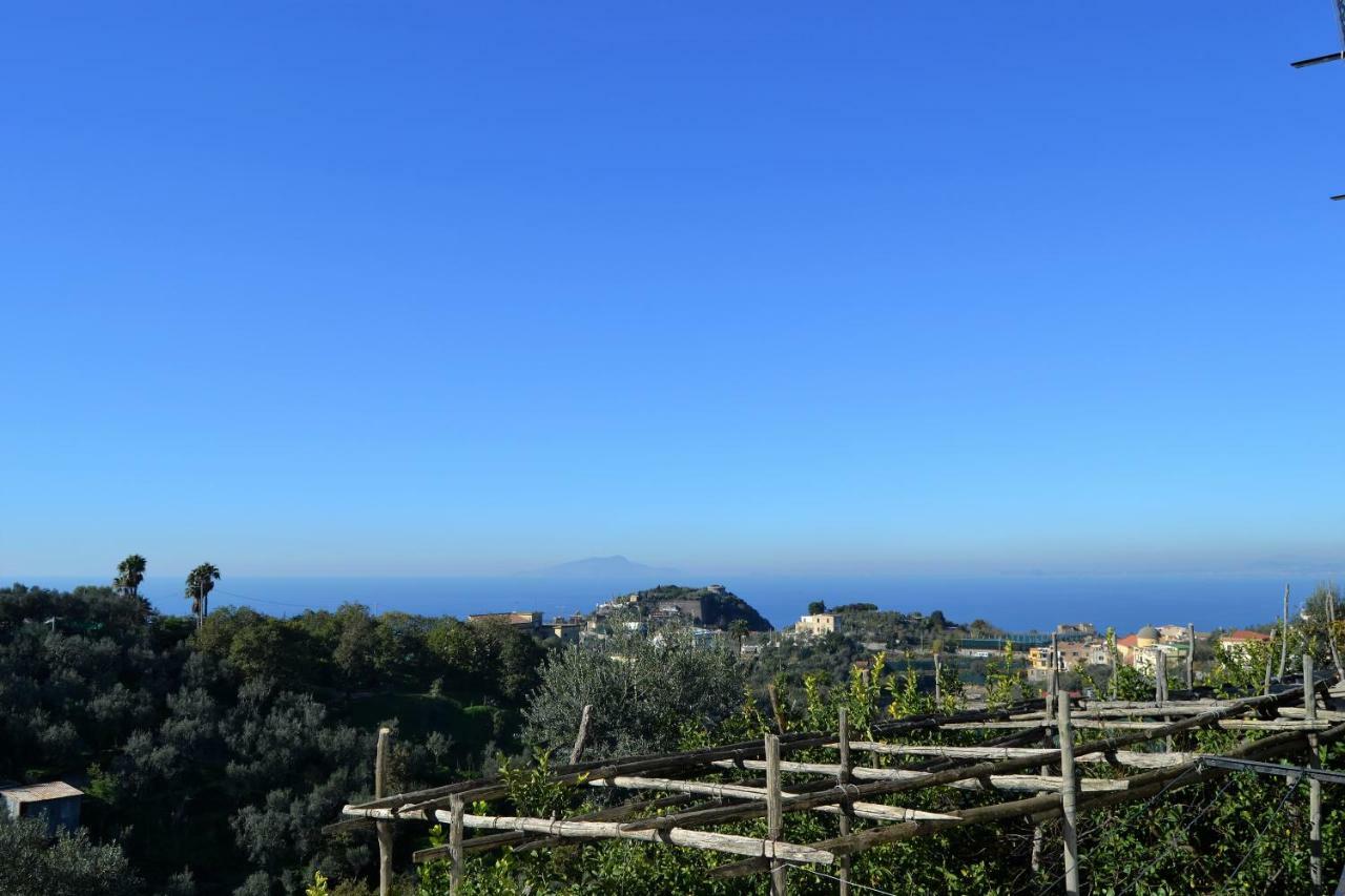 Il Viale Apartamento Massa Lubrense Exterior foto