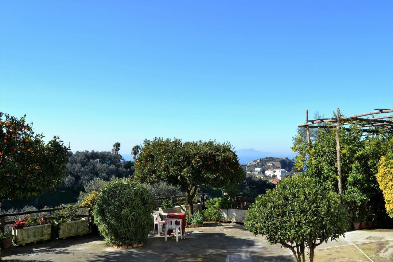 Il Viale Apartamento Massa Lubrense Exterior foto