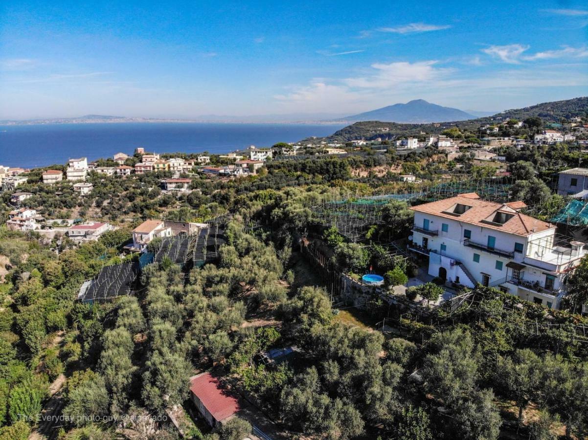 Il Viale Apartamento Massa Lubrense Exterior foto