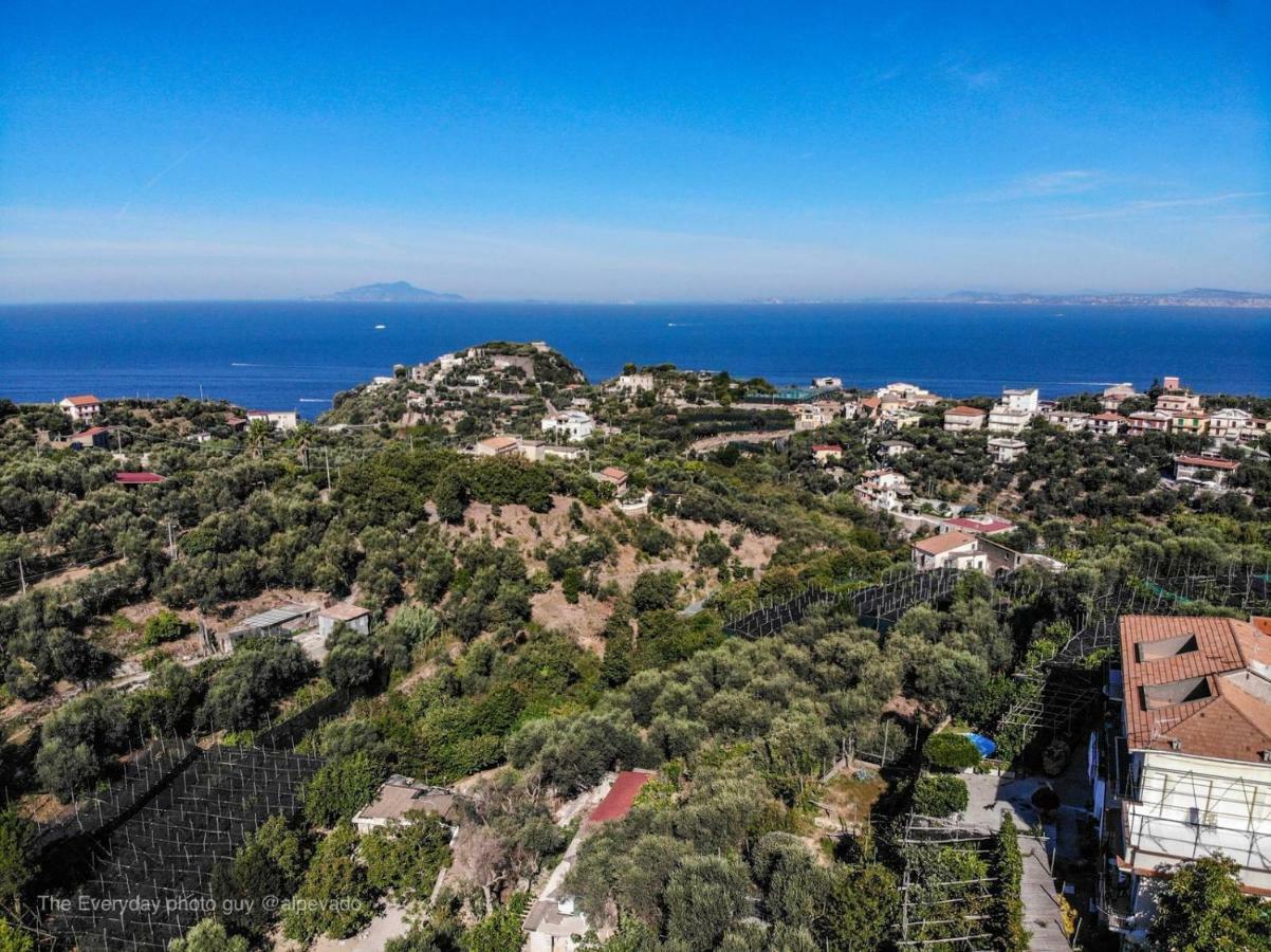 Il Viale Apartamento Massa Lubrense Exterior foto